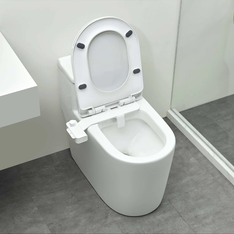 Smart Bidet