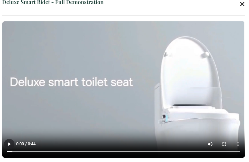 Deluxe Smart Bidet